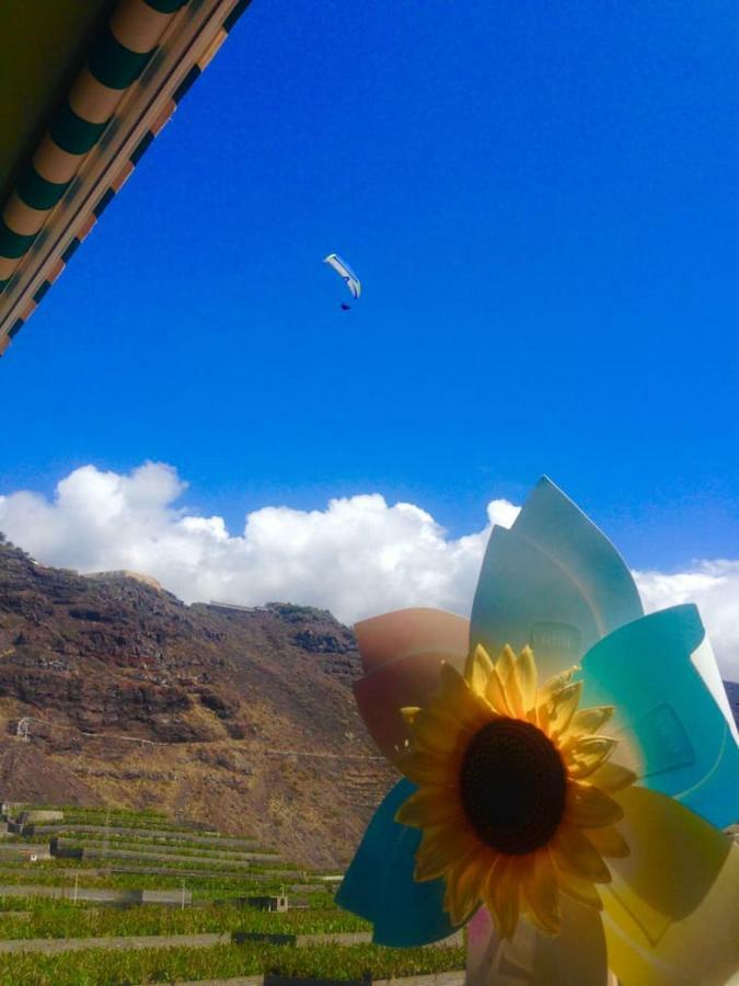 דירות Puerto De Naos Sunny Bird Puerto Naos, Sol Y Playa מראה חיצוני תמונה